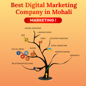 Best Digital Marketing Company in Mohali